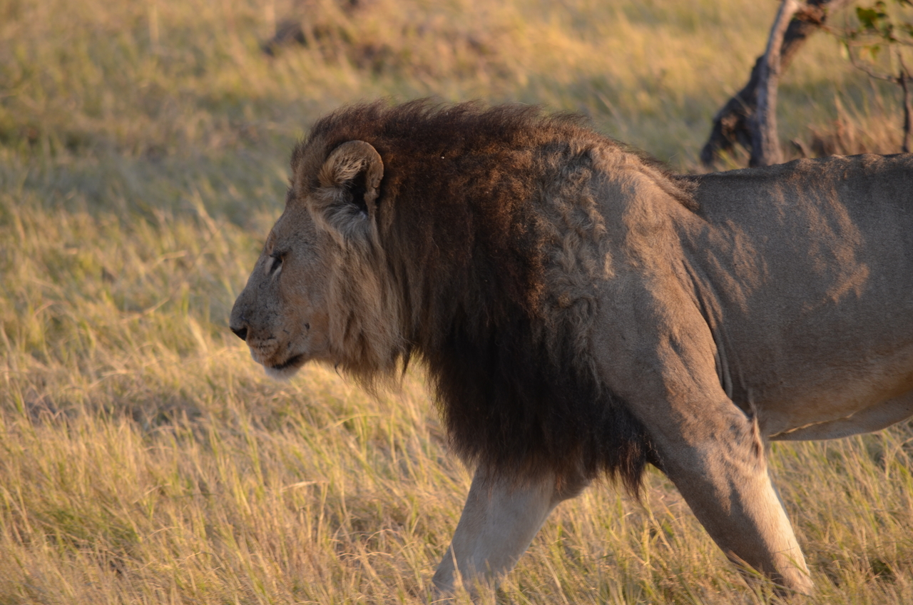 [22286] 2016_06_29_21_47_28_Africa_NIKON_D5100_IMG__00515.jpg