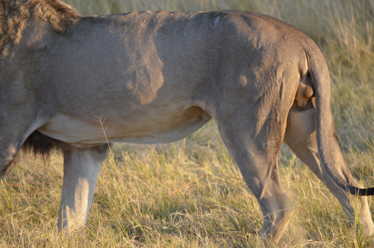 [22291] 2016_06_29_21_48_41_Africa_NIKON_D5100_IMG__05139.jpg