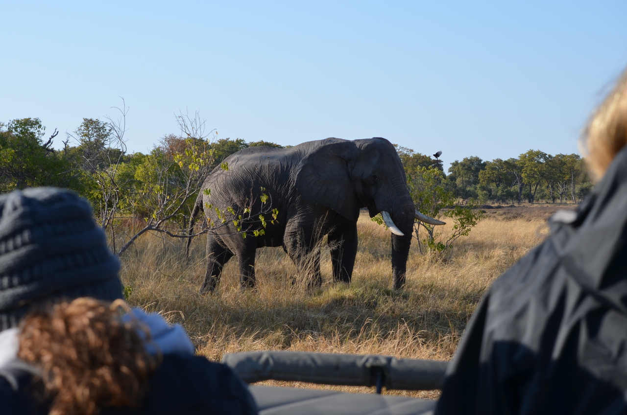 [22308] 2016_06_29_22_39_07_Africa_NIKON_D5100_IMG__00526.jpg