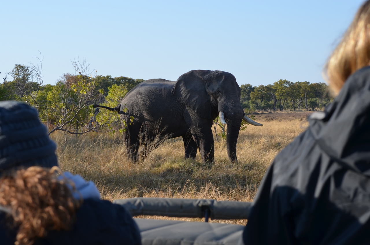 [22310] 2016_06_29_22_39_08_Africa_NIKON_D5100_IMG__00527.jpg