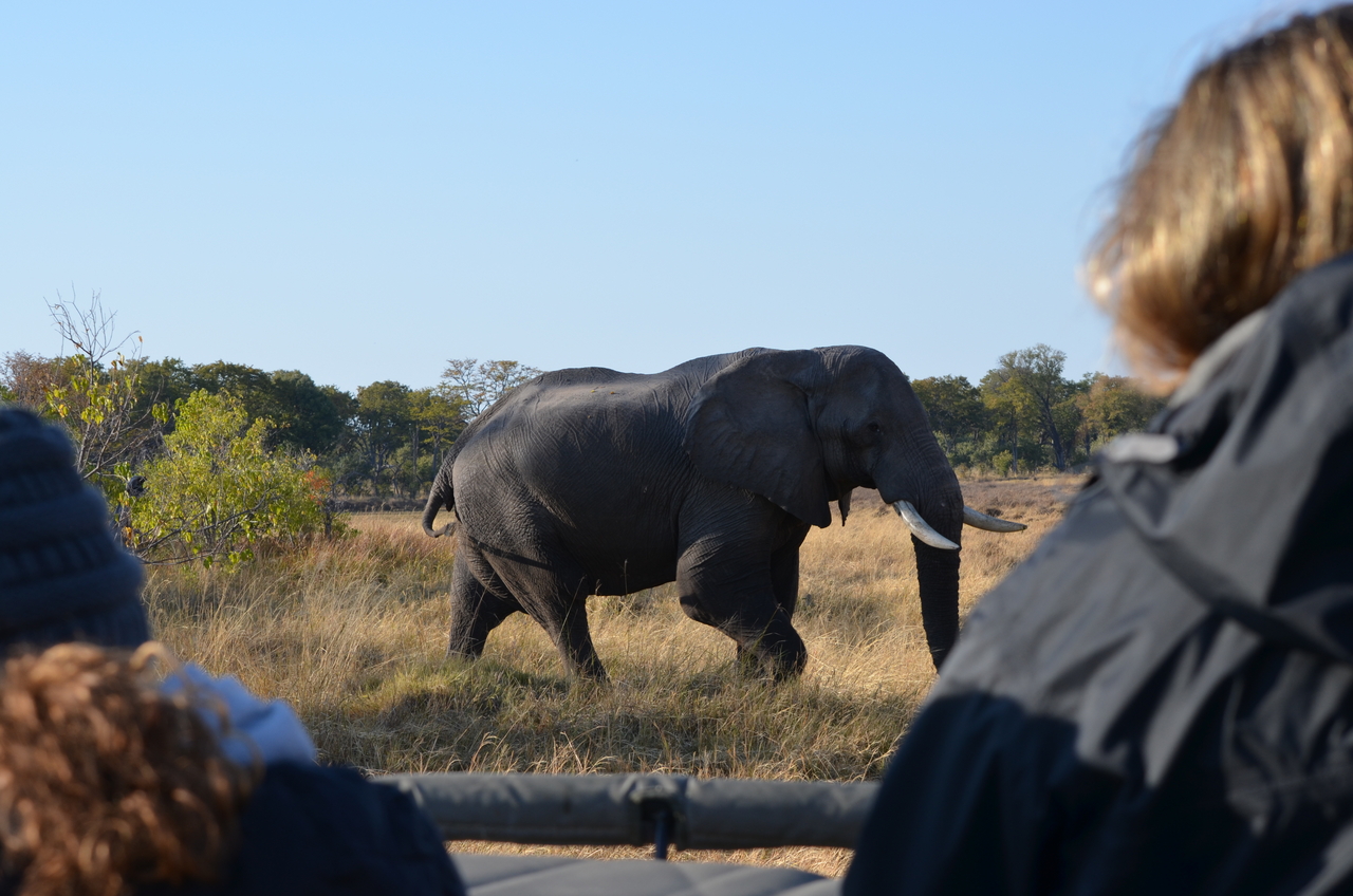 [22312] 2016_06_29_22_39_10_Africa_NIKON_D5100_IMG__00528.jpg