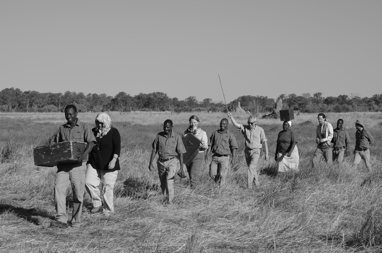 [22389] 2016_06_30_00_16_26_Africa_NIKON_D5100_IMG__04623.jpg