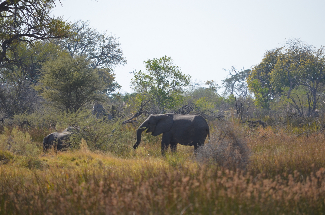 [22394] 2016_06_30_00_58_25_Africa_NIKON_D5100_IMG__00567.jpg