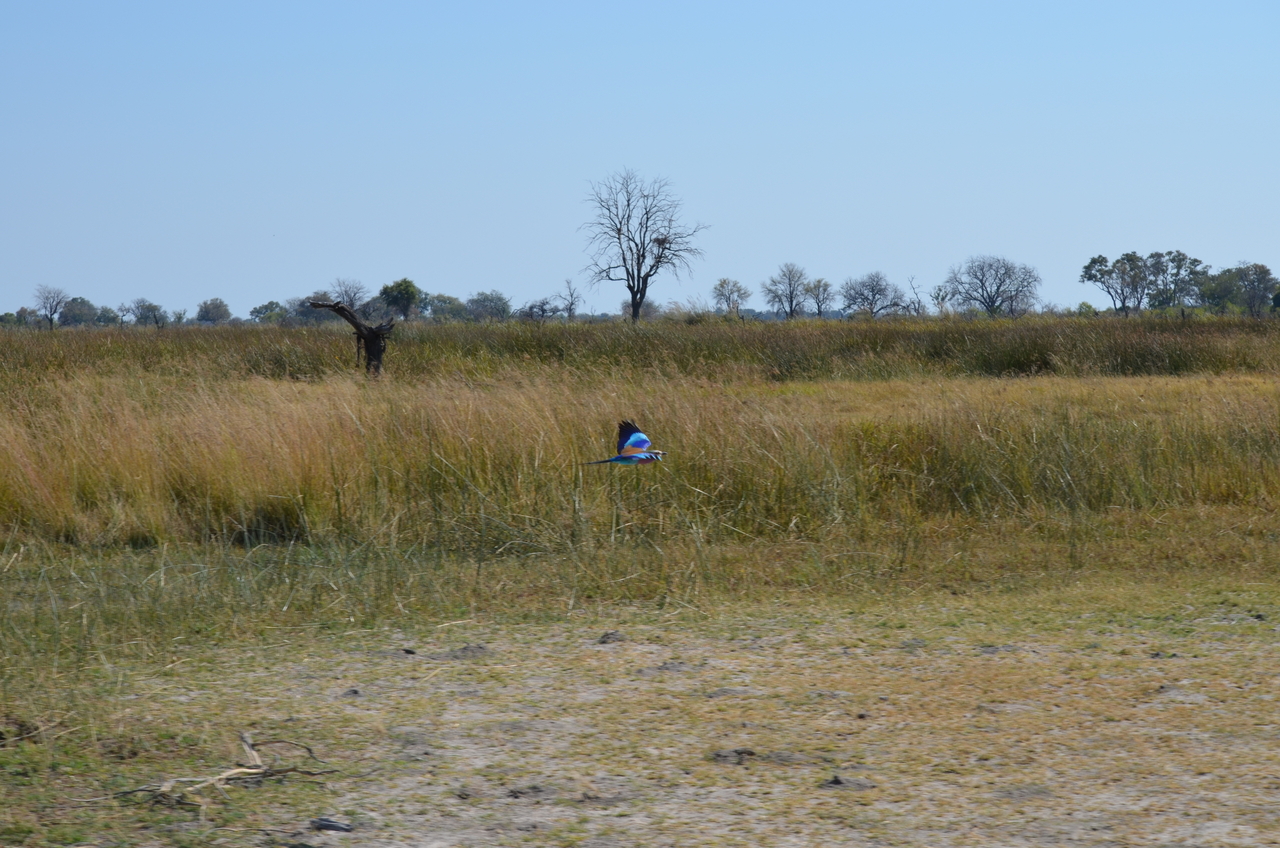 [22491] 2016_06_30_01_21_14_Africa_NIKON_D5100_IMG__05201.jpg