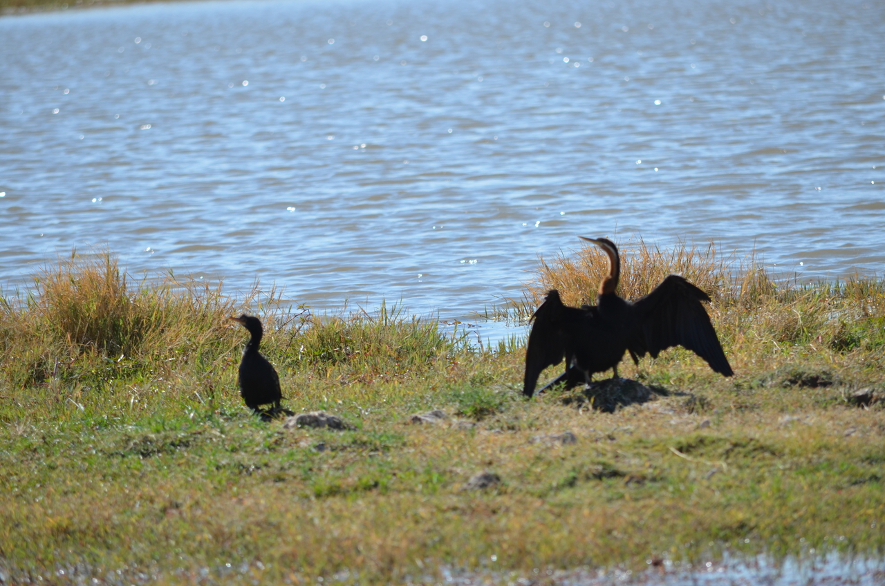 [22587] 2016_06_30_01_35_44_Africa_NIKON_D5100_IMG__00593.jpg