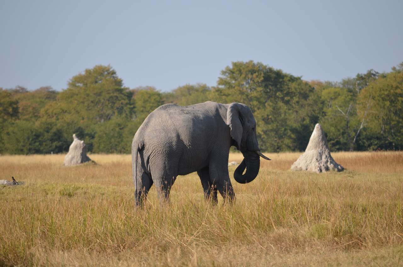 [24475] 2016_06_30_06_06_06_Africa_NIKON_D5100_IMG__05344.jpg