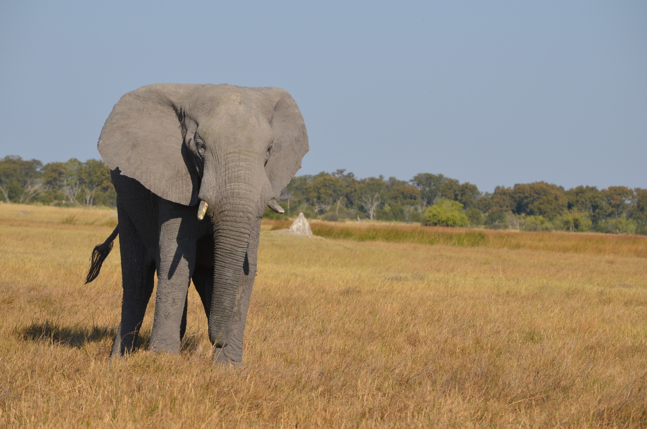 [24483] 2016_06_30_06_07_51_Africa_NIKON_D5100_IMG__05348.jpg