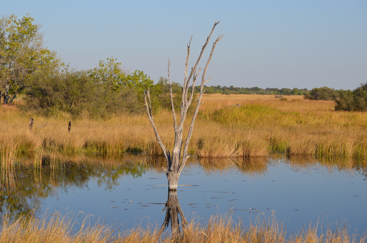 [24608] 2016_06_30_06_49_44_Africa_NIKON_D5100_IMG__00738.jpg
