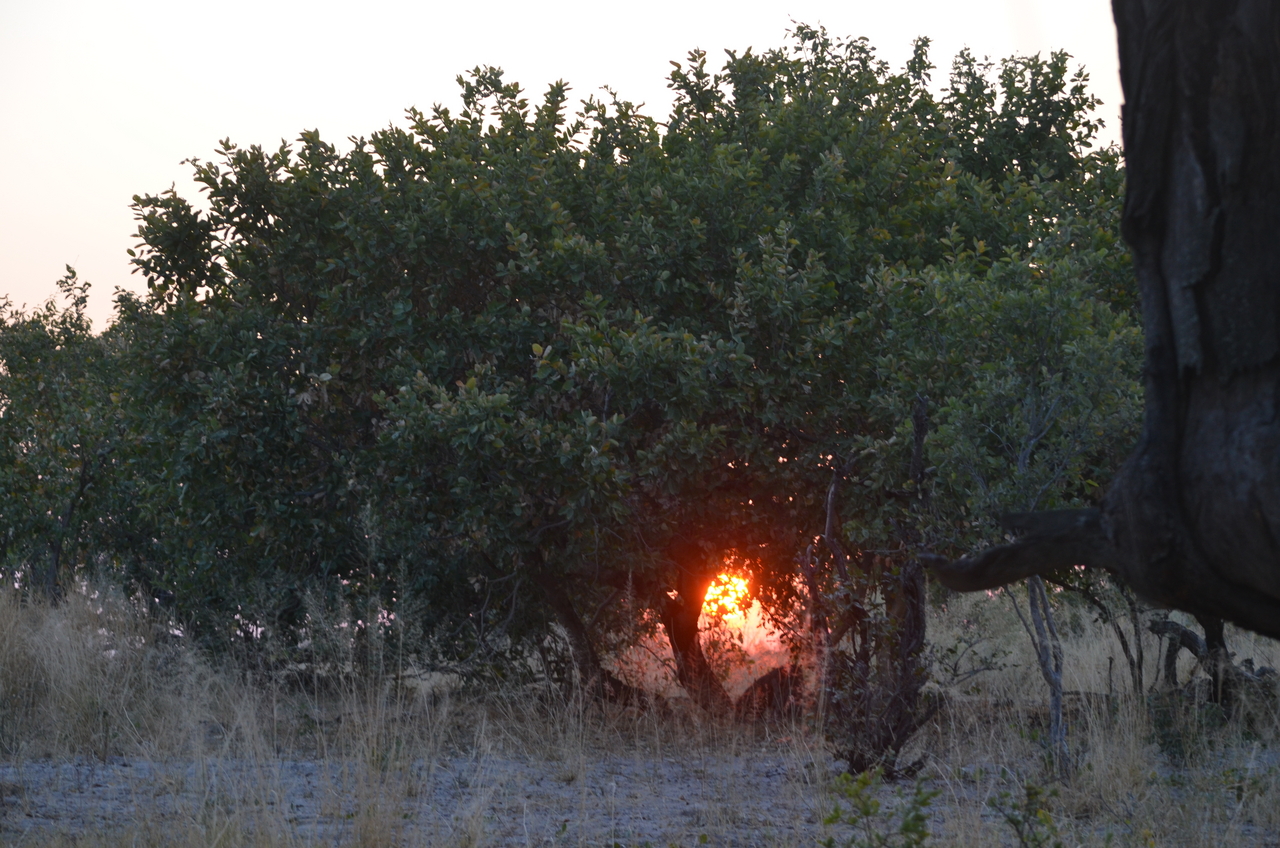 [24647] 2016_06_30_08_02_52_Africa_NIKON_D5100_IMG__00744.jpg
