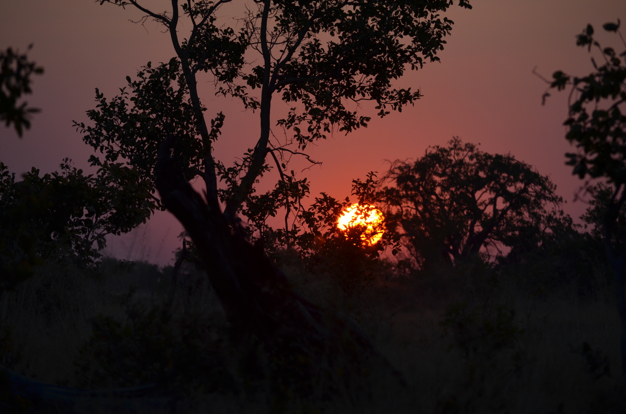 [24652] 2016_06_30_08_03_41_Africa_NIKON_D5100_IMG__05368.jpg