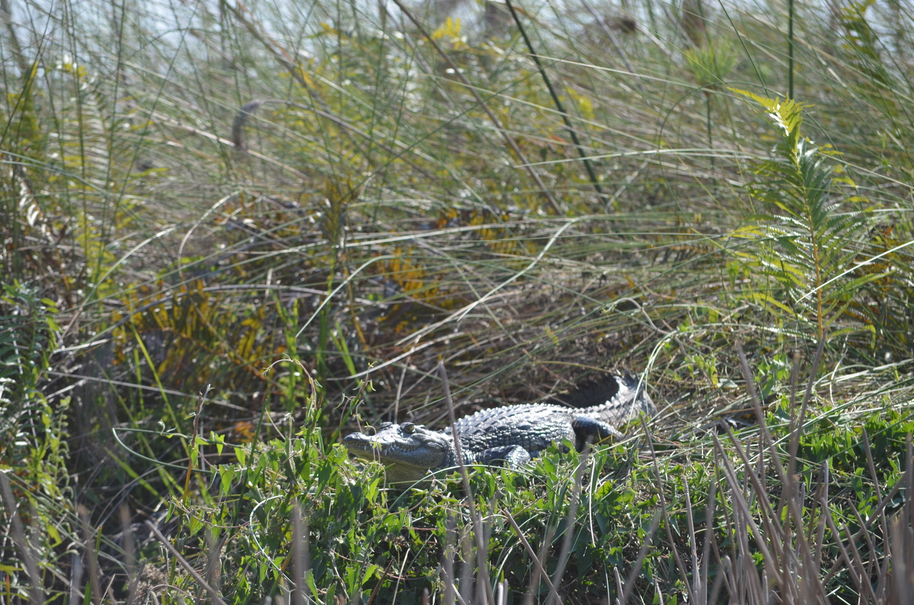 [26685] 2016_07_01_01_11_14_Africa_NIKON_D5100_IMG__05376.jpg