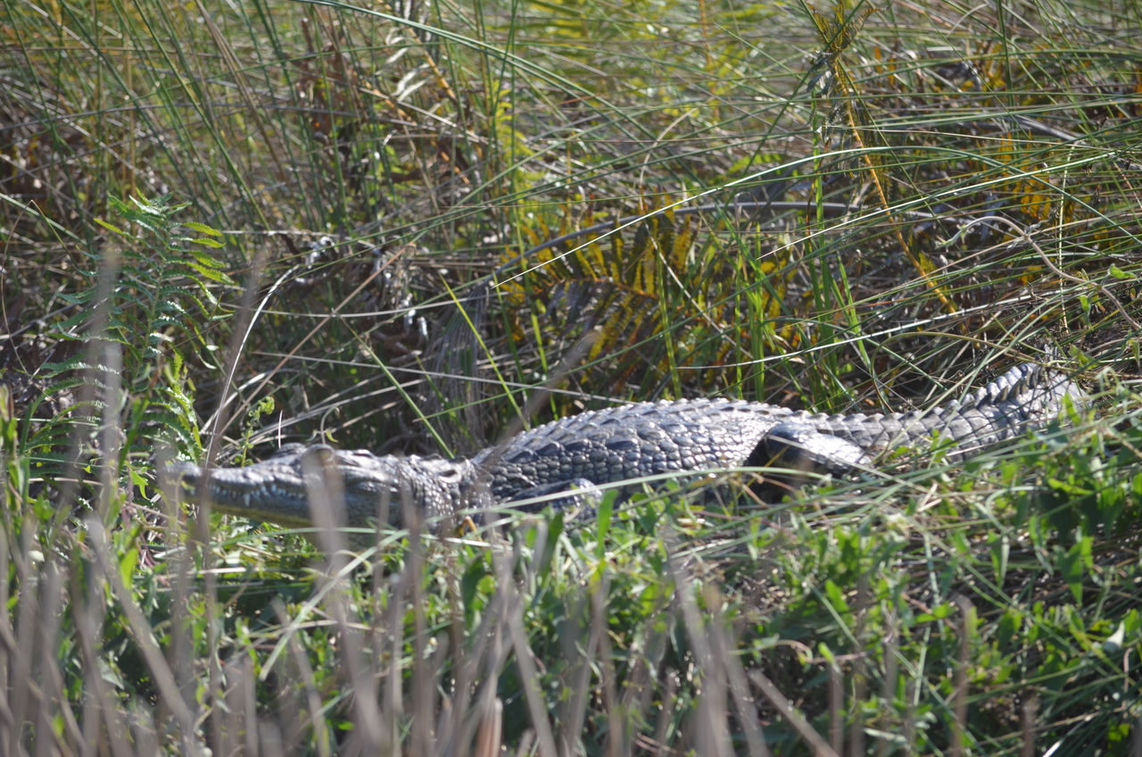 [26686] 2016_07_01_01_11_24_Africa_NIKON_D5100_IMG__00755.jpg