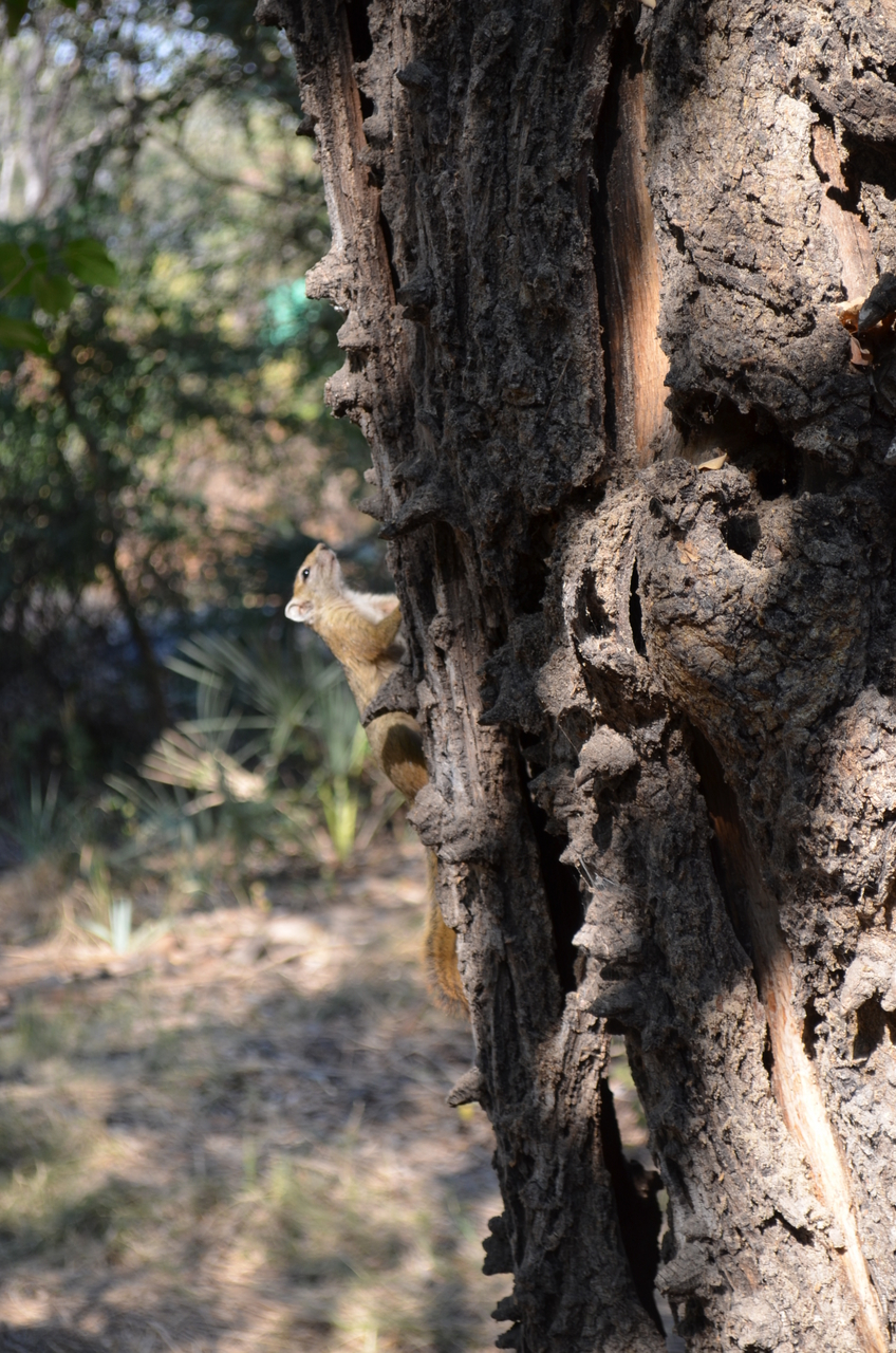 [26706] 2016_07_01_04_30_54_Africa_NIKON_D5100_IMG__00765.jpg
