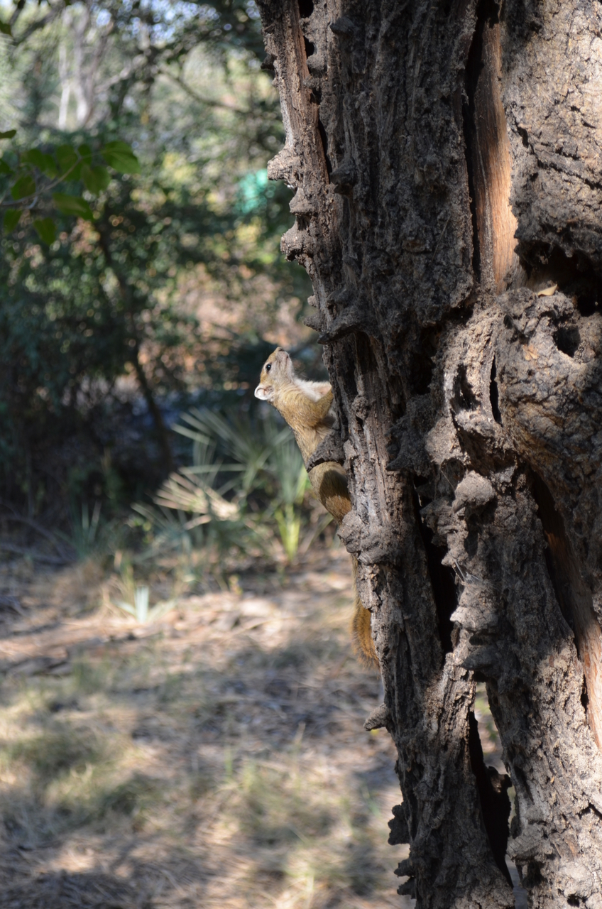 [26708] 2016_07_01_04_30_57_Africa_NIKON_D5100_IMG__00766.jpg
