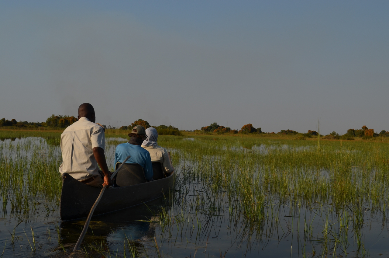 [26760] 2016_07_01_06_25_24_Africa_NIKON_D5100_IMG__00792.jpg