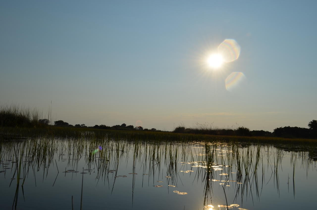 [26819] 2016_07_01_06_49_36_Africa_NIKON_D5100_IMG__05443.jpg