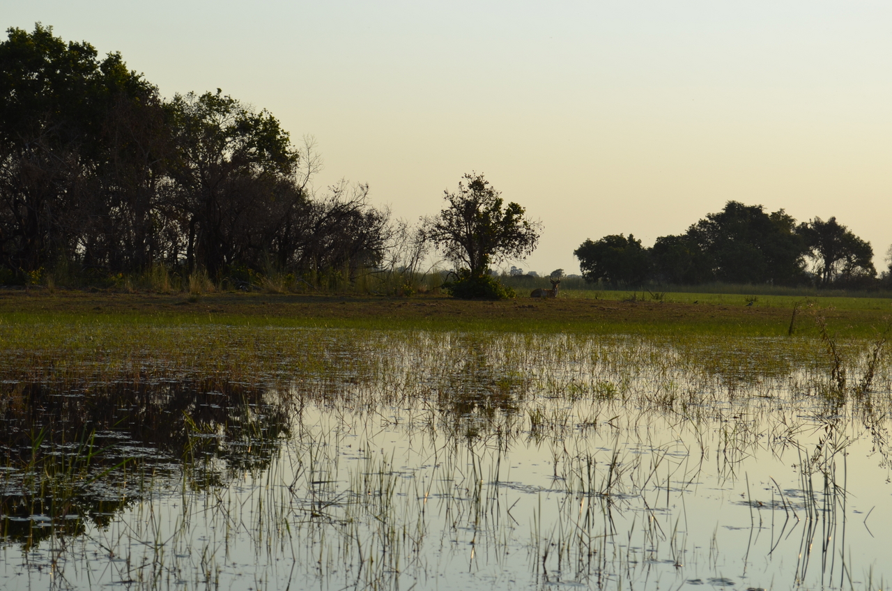 [26850] 2016_07_01_07_18_28_Africa_NIKON_D5100_IMG__00837.jpg