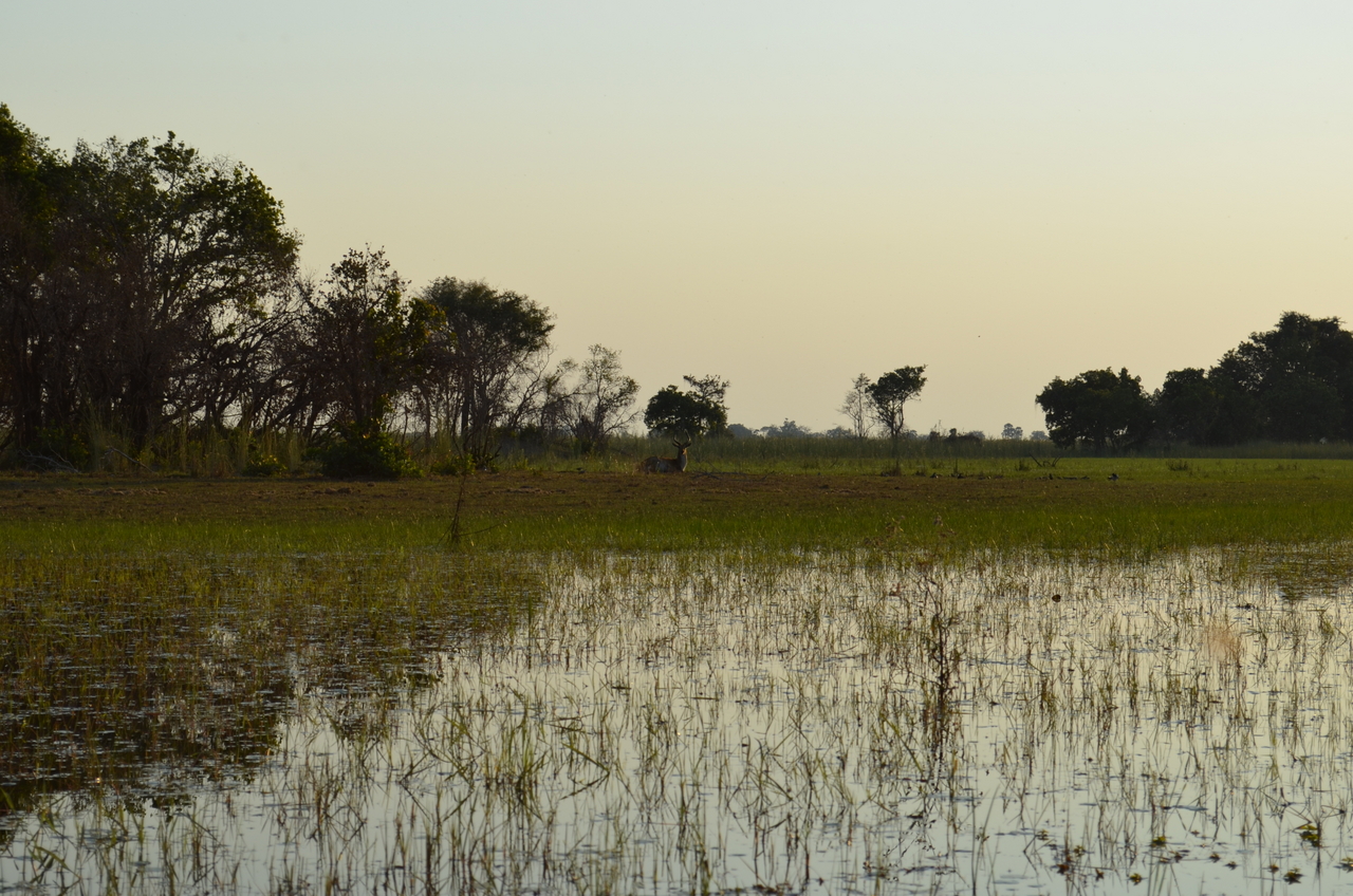 [26853] 2016_07_01_07_19_01_Africa_NIKON_D5100_IMG__05460.jpg