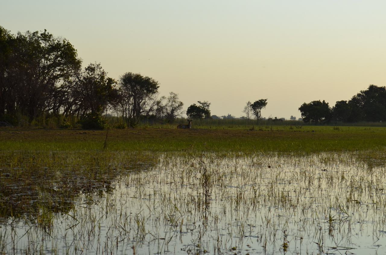 [26855] 2016_07_01_07_19_03_Africa_NIKON_D5100_IMG__05461.jpg