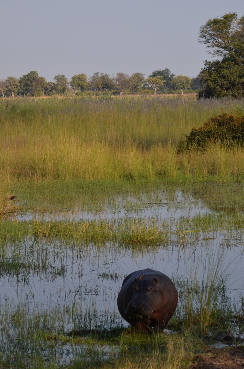 [27511] 2016_07_01_22_58_43_Africa_NIKON_D5100_IMG__05493.jpg