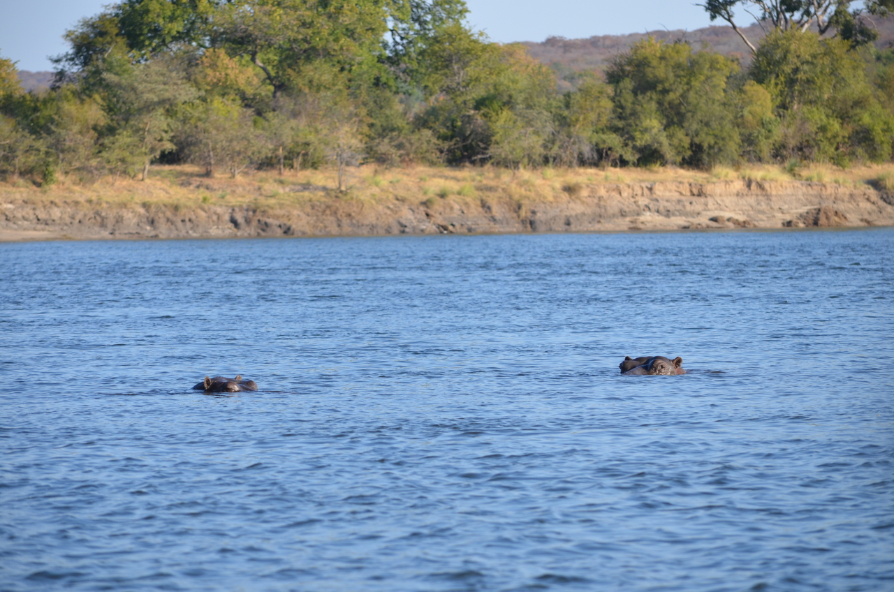 [27824] 2016_07_02_06_28_27_Africa_NIKON_D5100_IMG__05501.jpg