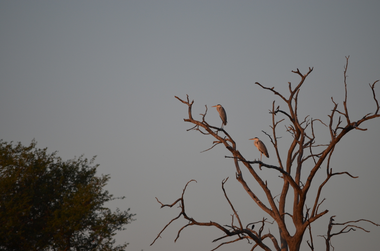 [27852] 2016_07_02_07_42_52_Africa_NIKON_D5100_IMG__05512.jpg
