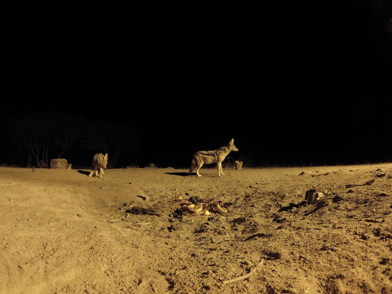 [3835] 2016_06_22_20_45_22_Africa_Hero3-Silver_Edition_IMG__00474.jpg