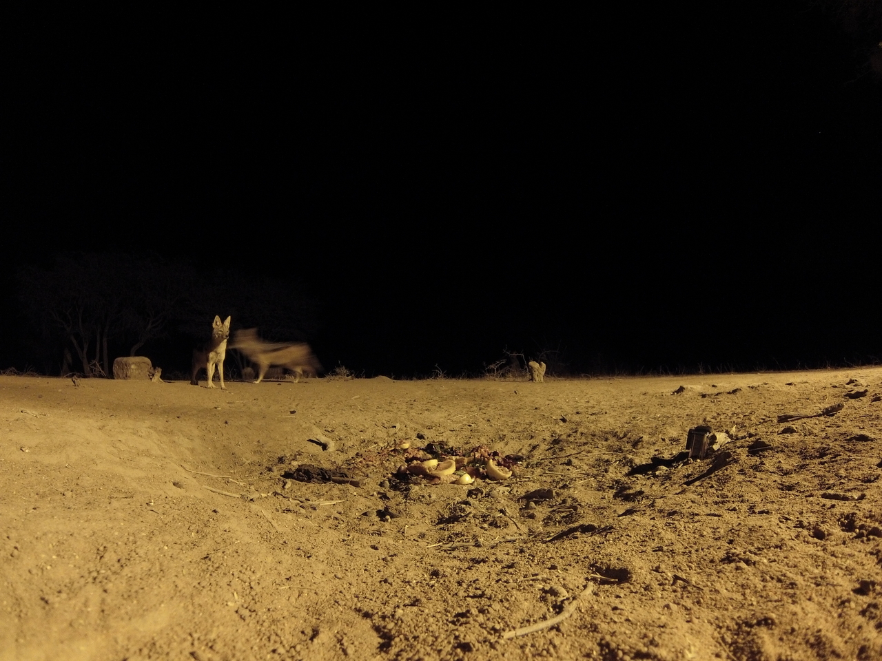 [3839] 2016_06_22_20_45_26_Africa_Hero3-Silver_Edition_IMG__00476.jpg