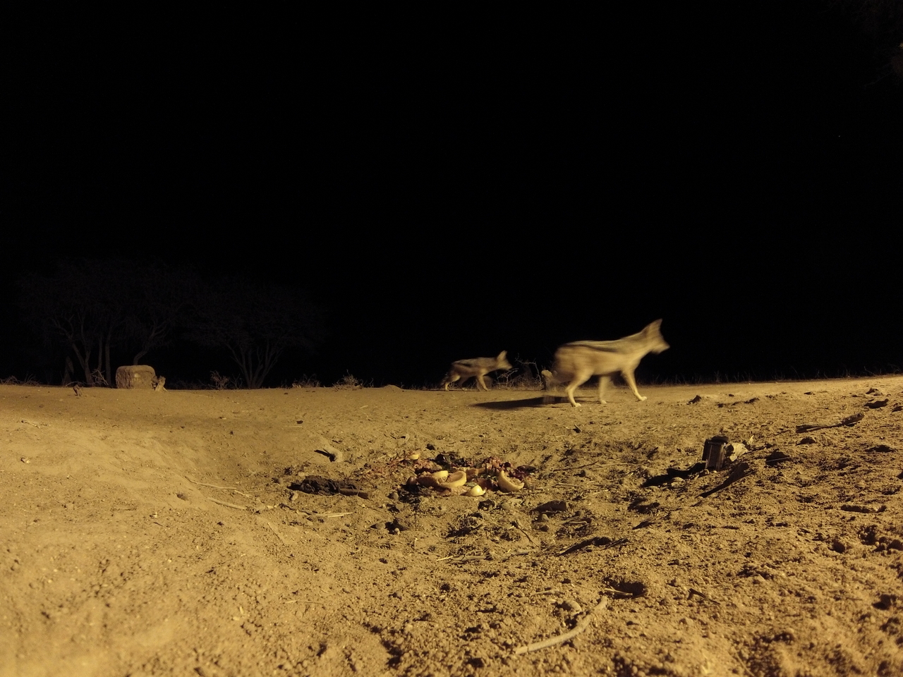 [3845] 2016_06_22_20_45_38_Africa_Hero3-Silver_Edition_IMG__00479.jpg