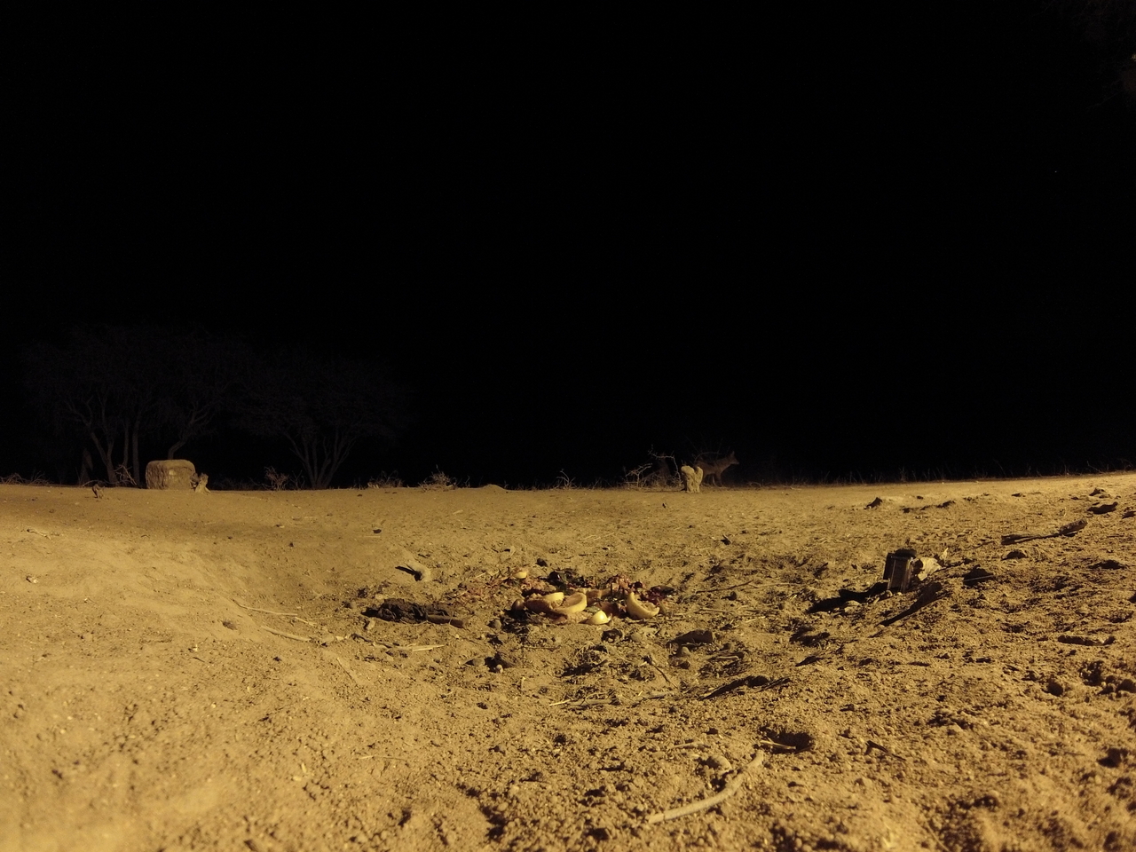 [3849] 2016_06_22_20_45_44_Africa_Hero3-Silver_Edition_IMG__00481.jpg