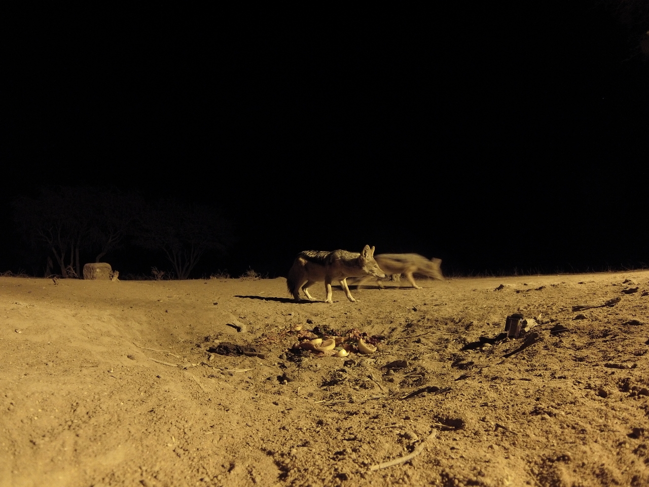 [3855] 2016_06_22_20_45_54_Africa_Hero3-Silver_Edition_IMG__00484.jpg