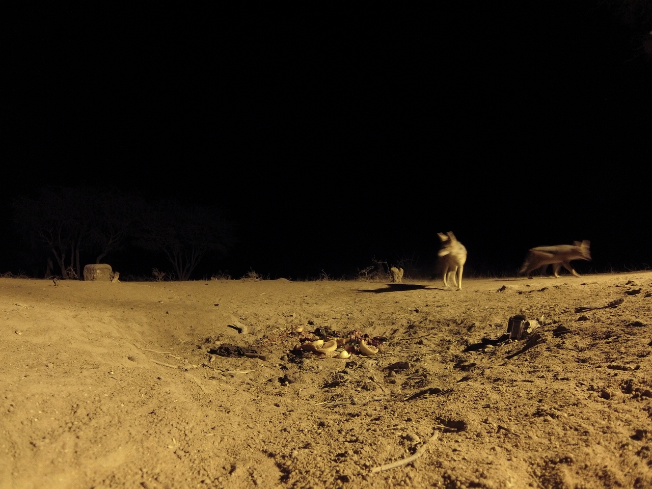 [3861] 2016_06_22_20_46_02_Africa_Hero3-Silver_Edition_IMG__00487.jpg