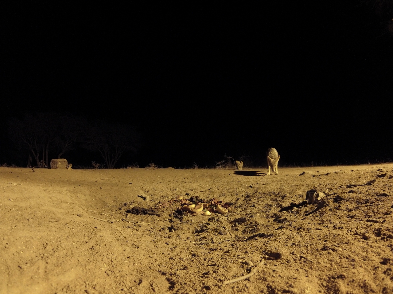 [3862] 2016_06_22_20_46_06_Africa_Hero3-Silver_Edition_IMG__00040.jpg