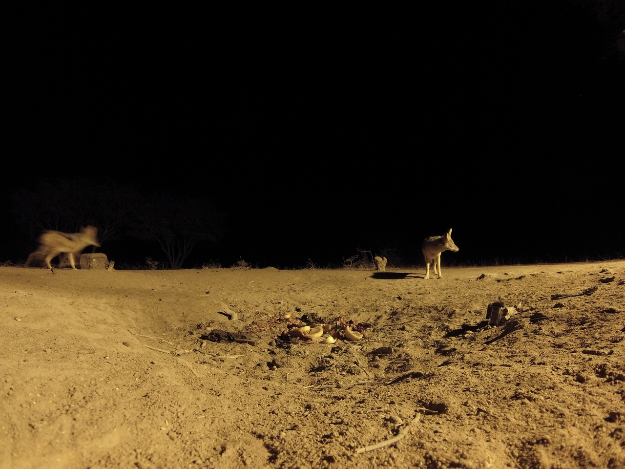 [3865] 2016_06_22_20_46_10_Africa_Hero3-Silver_Edition_IMG__00489.jpg