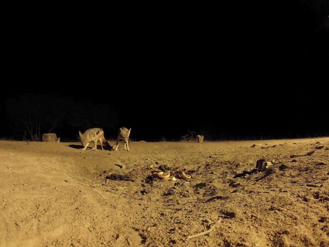 [3869] 2016_06_22_20_46_16_Africa_Hero3-Silver_Edition_IMG__00491.jpg
