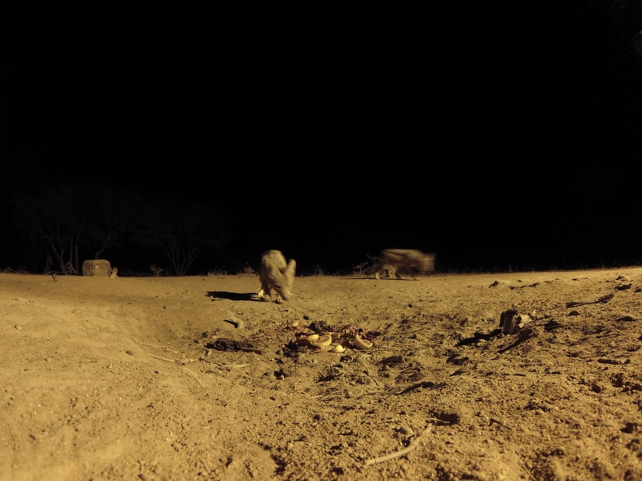 [3872] 2016_06_22_20_46_22_Africa_Hero3-Silver_Edition_IMG__00045.jpg