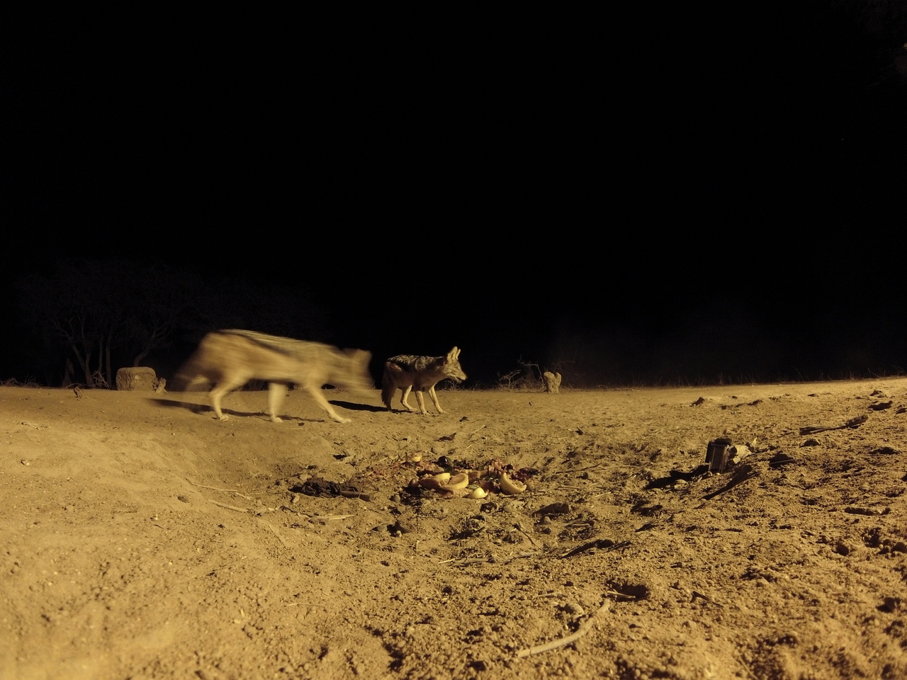[3890] 2016_06_22_20_46_50_Africa_Hero3-Silver_Edition_IMG__00054.jpg