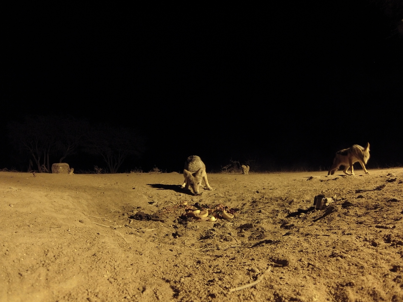 [3900] 2016_06_22_20_47_06_Africa_Hero3-Silver_Edition_IMG__00059.jpg