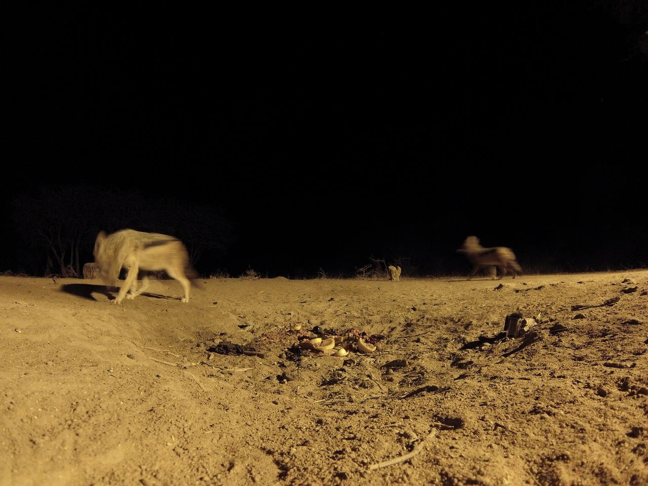 [3903] 2016_06_22_20_47_10_Africa_Hero3-Silver_Edition_IMG__00508.jpg