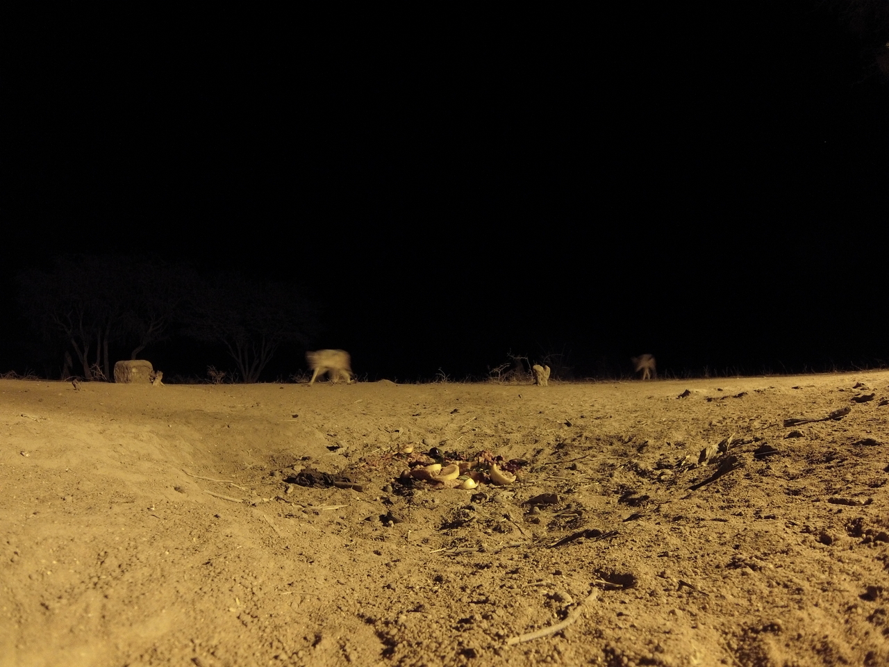 [3973] 2016_06_22_20_49_04_Africa_Hero3-Silver_Edition_IMG__00543.jpg