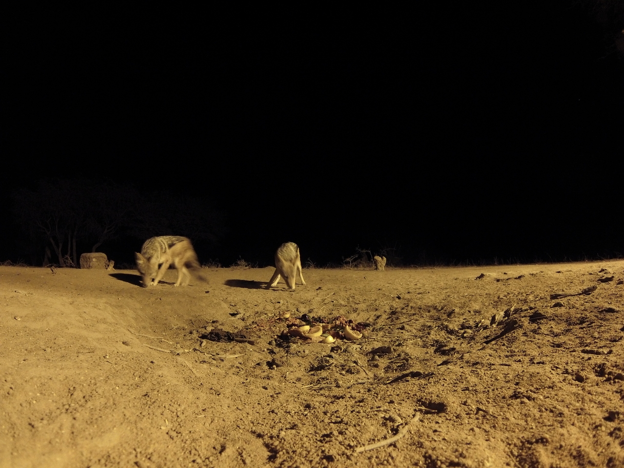[3979] 2016_06_22_20_49_14_Africa_Hero3-Silver_Edition_IMG__00546.jpg