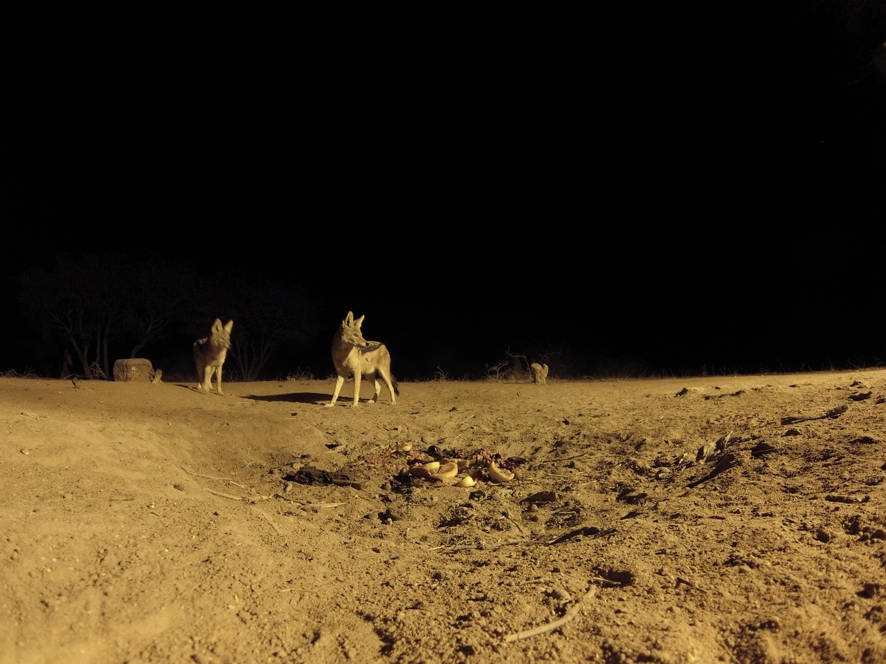 [3981] 2016_06_22_20_49_18_Africa_Hero3-Silver_Edition_IMG__00547.jpg