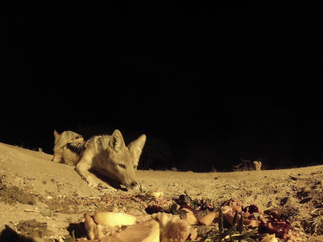 [4052] 2016_06_22_20_50_59_Africa_Hero3-Silver_Edition_IMG__00135.jpg
