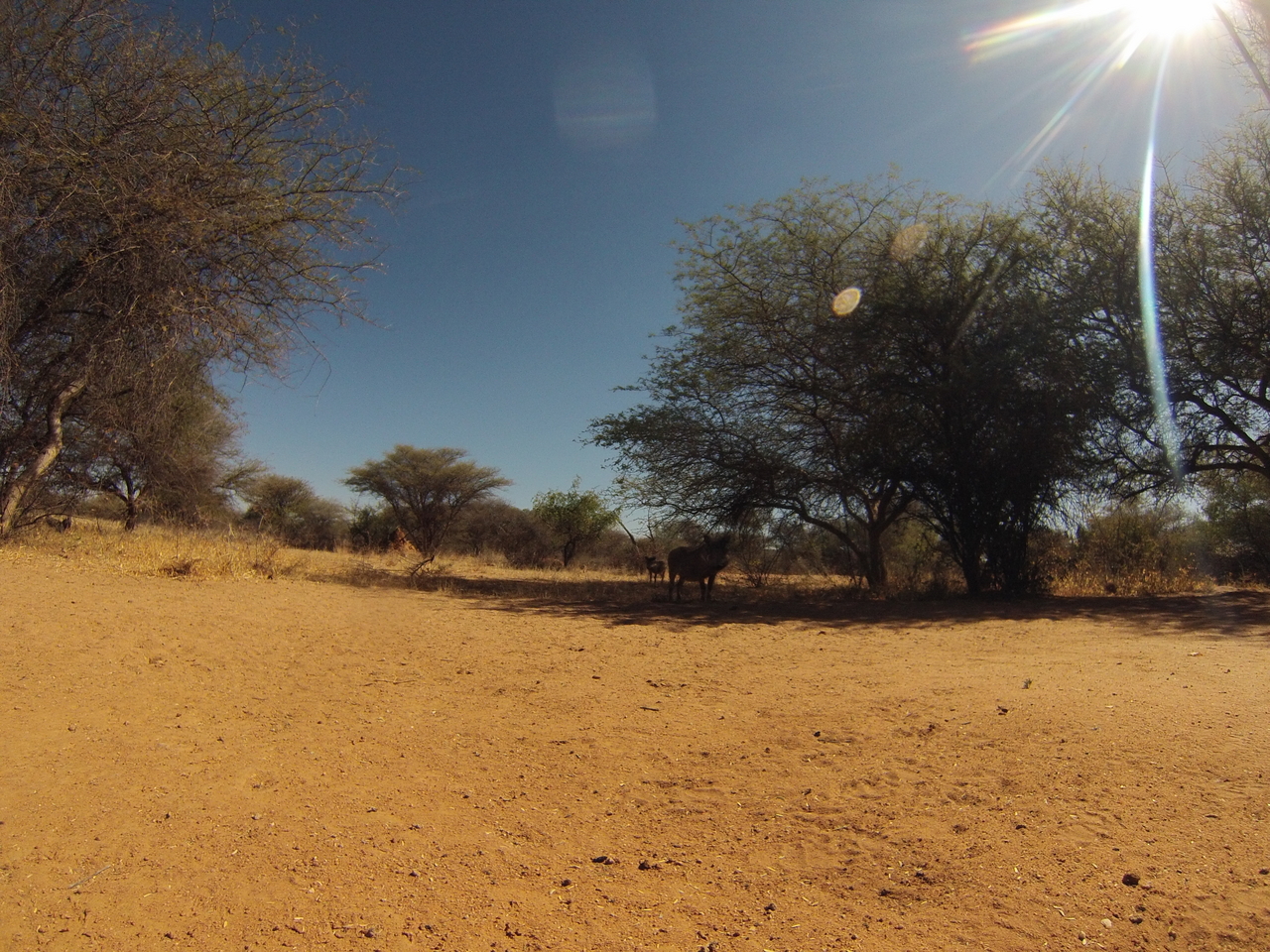 [8825] 2016_06_23_12_07_49_Africa_Hero3-Silver_Edition_IMG__00794.jpg