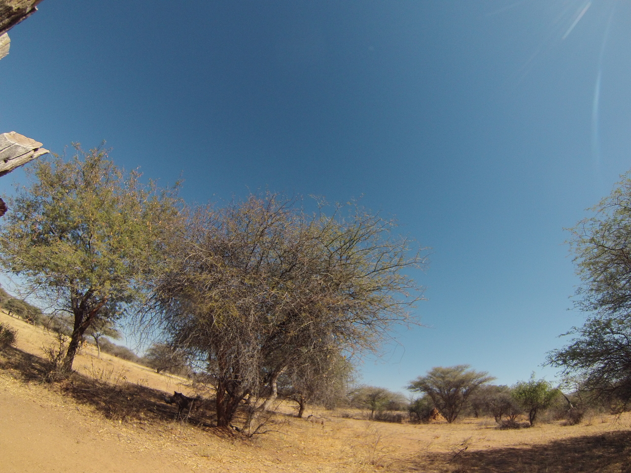 [8841] 2016_06_23_12_08_09_Africa_Hero3-Silver_Edition_IMG__00801.jpg