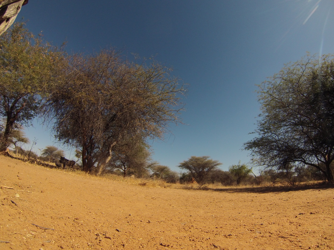 [8843] 2016_06_23_12_08_11_Africa_Hero3-Silver_Edition_IMG__00802.jpg