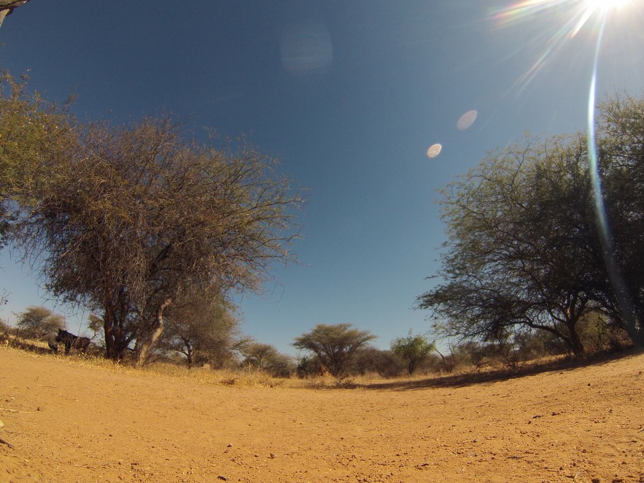 [8844] 2016_06_23_12_08_15_Africa_Hero3-Silver_Edition_IMG__00355.jpg
