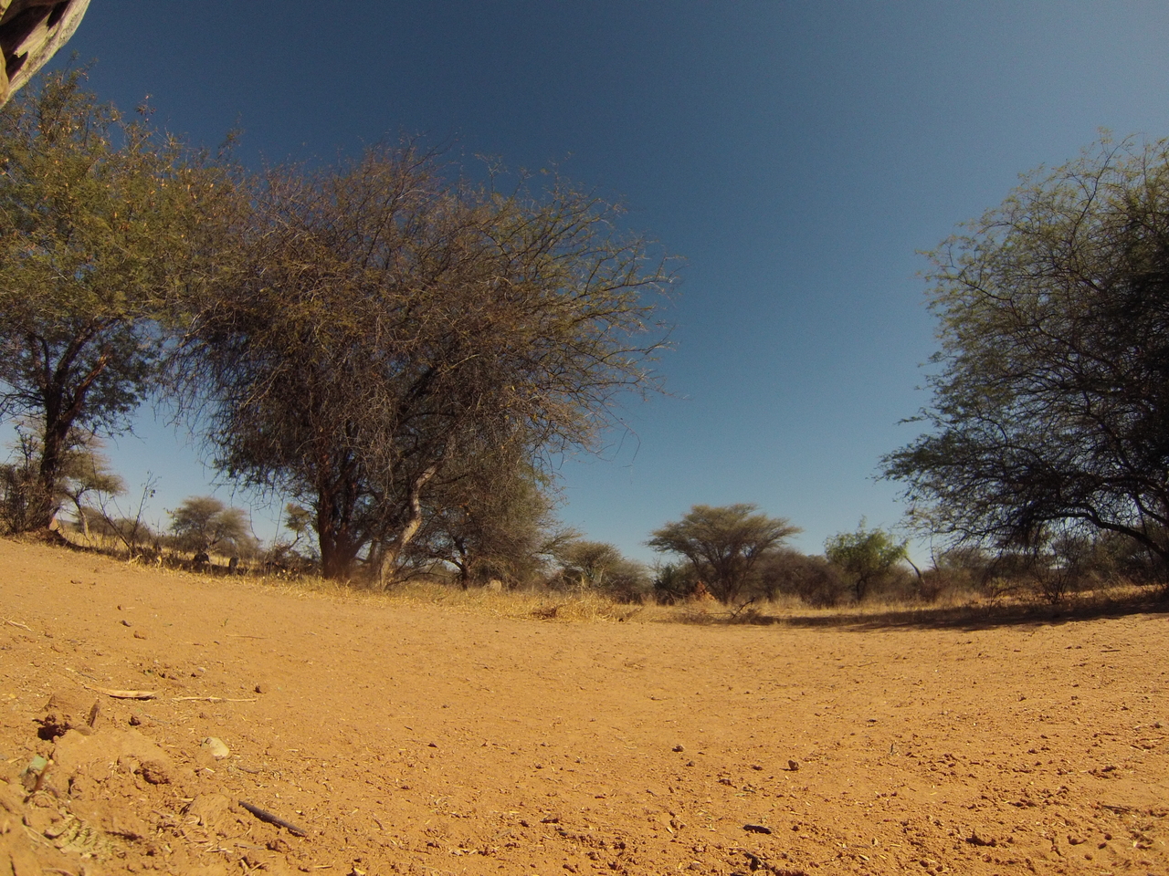 [8860] 2016_06_23_12_08_37_Africa_Hero3-Silver_Edition_IMG__00363.jpg