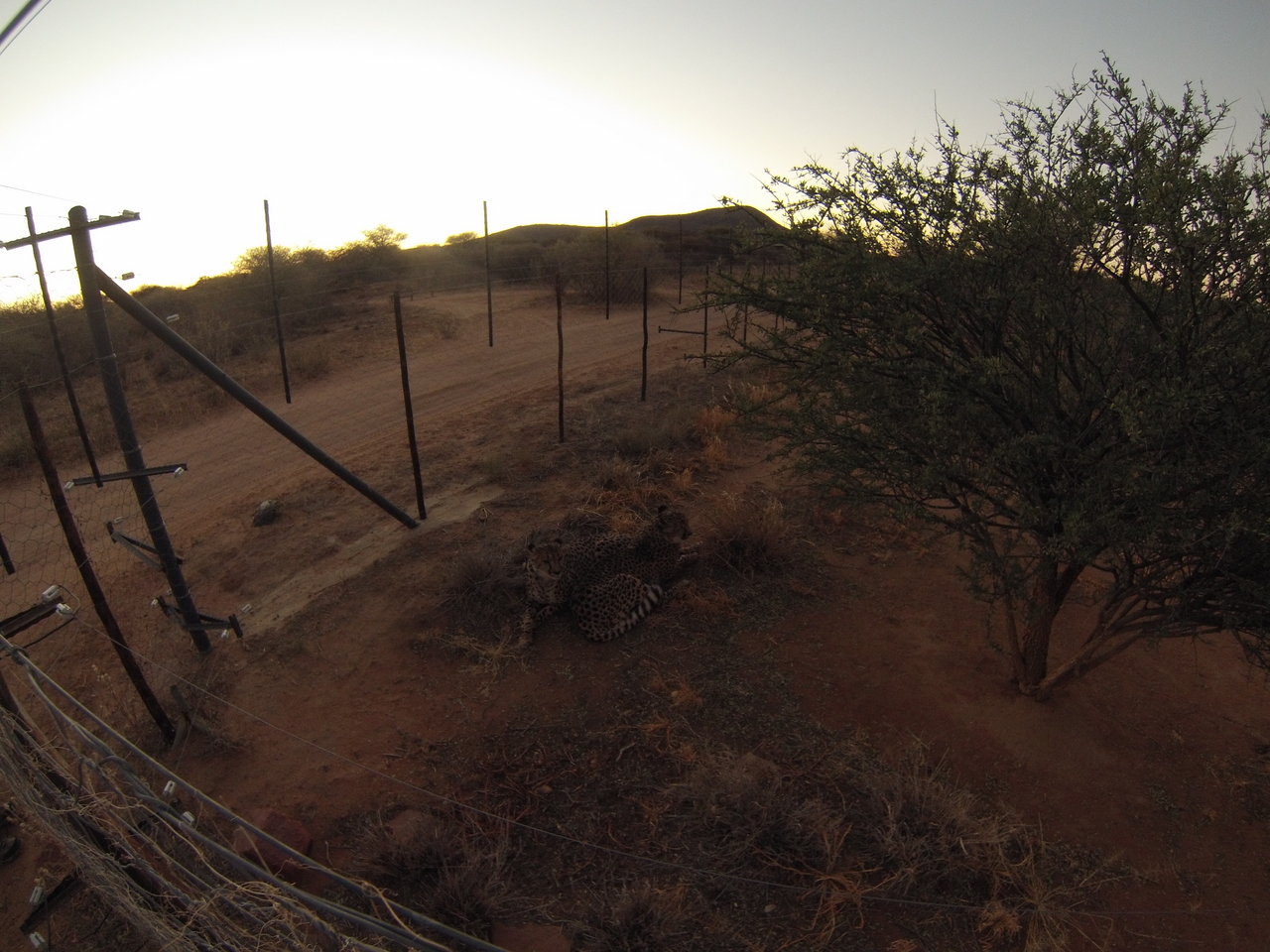 [9527] 2016_06_23_17_26_30_Africa_Hero3-Silver_Edition_IMG__00404.jpg