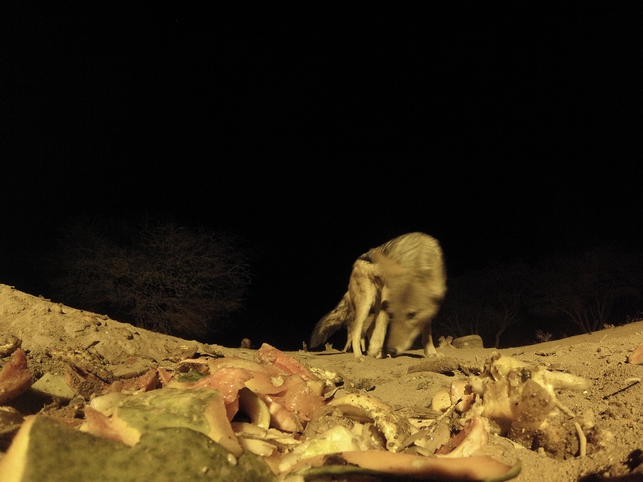 [9904] 2016_06_23_18_47_23_Africa_Hero3-Silver_Edition_IMG__00541.jpg